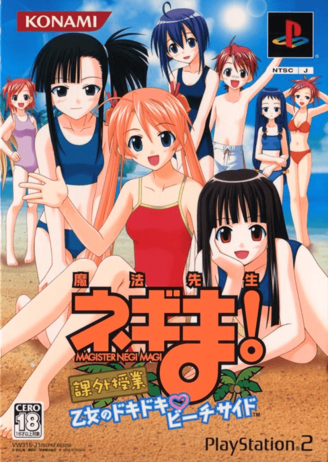 Akagi box art for Playstation 2